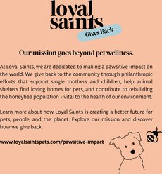 Loyal Saints Turkey with Salmon Grain-Free Adult Freeze-Dried Dog Food, 5-oz bag slide 2 of 8