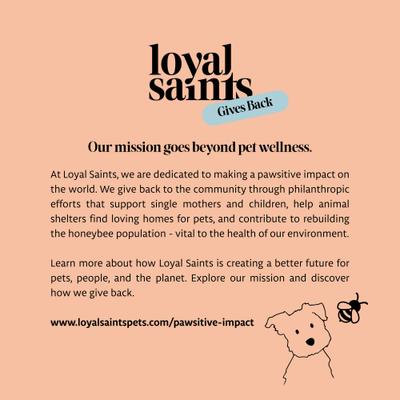 Show full view: Loyal Saints Turkey with Salmon Grain-Free Adult Freeze-Dried Dog Food, 5-oz bag slide 9 of 9