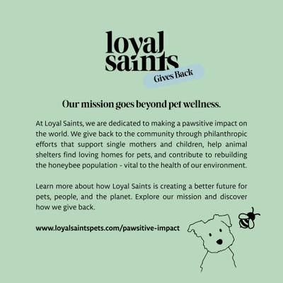 Show full view: Loyal Saints Beef Grain-Free Adult Freeze-Dried Dog Food, 14-oz bag slide 9 of 10