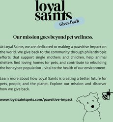 Loyal Saints Beef Grain-Free Adult Freeze-Dried Dog Food, 5-oz bag slide 2 of 8