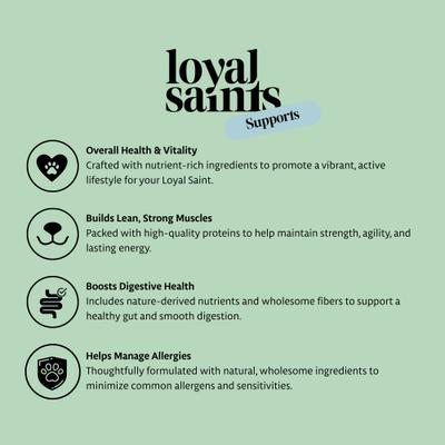 Show full view: Loyal Saints Beef Grain-Free Adult Freeze-Dried Dog Food, 5-oz bag slide 5 of 10