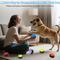 Show in main carousel: Shele 6 Recordable Voice Button Set Game Dog & Cat Toy slide 3 of 9