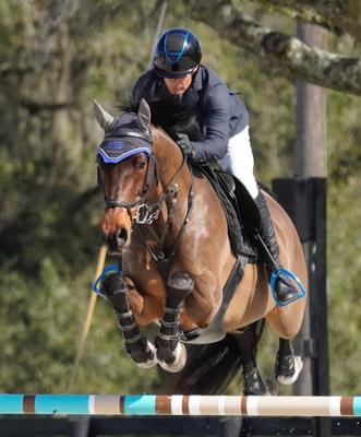 Show full view: IRH XLT Horse Riding Helmet, Gloss Finish Navy/Gloss Navy Frame, X-Large: 7 3/8 to 7 1/2 -in slide 2 of 2