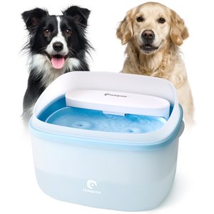 HOLAPAW Dog Water Fountain, Blue, 8-l