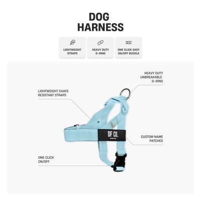 Show full view: Dog Friendly Co. Adjustable Neck & Chest Chafe Resistant Dog Harness, Premium Navy Blue, X-Small slide 8 of 9