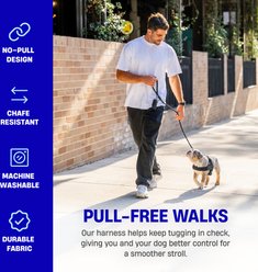 Dog Friendly Co. Adjustable Neck & Chest Chafe Resistant Dog Harness, Black, Large slide 2 of 8