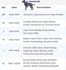 Dog Friendly Co. Adjustable Neck & Chafe Resistant Dog Harness, Burgundy, Medium slide 2 of 8