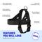 Show in main carousel: Dog Friendly Co. Adjustable Neck & Chest Chafe Resistant Dog Harness, Black, Large slide 4 of 9