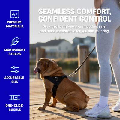 Show full view: Dog Friendly Co. Adjustable Neck & Chest Chafe Resistant Dog Harness, Premium Navy Blue, X-Small slide 3 of 9