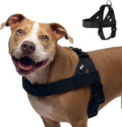 Dog Friendly Co. Adjustable Neck & Chest Chafe Resistant Dog Harness, Black, Large