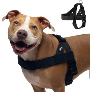 Dog Friendly Co. Adjustable Neck & Chest Chafe Resistant Dog Harness, Black, Large