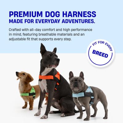 Show full view: Dog Friendly Co. Adjustable Neck & Chest Chafe Resistant Dog Harness, Premium Navy Blue, X-Small slide 2 of 9