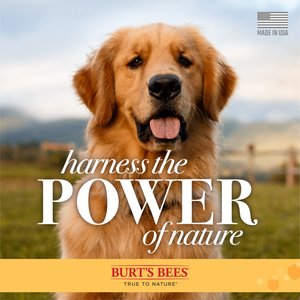 Burt's Bees Oatmeal Dog Conditioner, 10-fl oz bottle