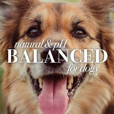 Show full view: Burt's Bees Oatmeal Dog Conditioner, 10-fl oz bottle slide 6 of 11