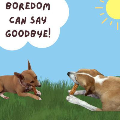 Show full view: Bullysticks And More! 6-in Beef Collagen Braided Dog Treats, 6 count slide 8 of 8