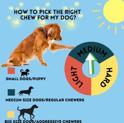 Bullysticks And More! 12-in Bully Sticks Dog Treats, Regular Size, 6 count slide 2 of 7