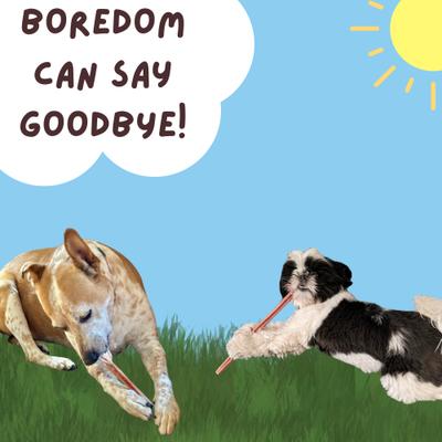 Show full view: Bullysticks And More! 12-in Bully Sticks Dog Treats, Regular Size, 6 count slide 8 of 8