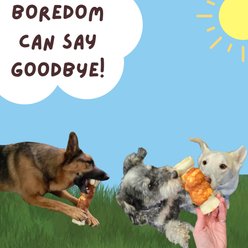 Bullysticks And More! 5 to 6-in Thick Chicken Wrapped Beef Cheek Roll Dog Treats, 2 count slide 2 of 7