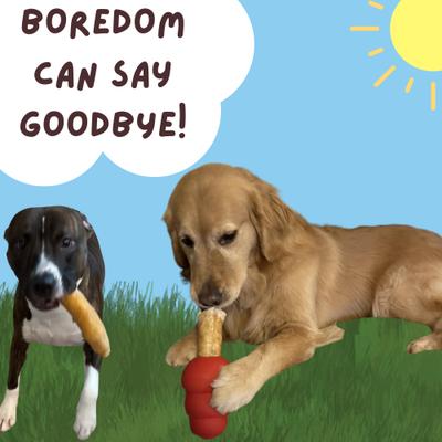 Show full view: Bullysticks And More! 6-in Extra Thick Collagen Roll Dog Treats, 3 count slide 8 of 8