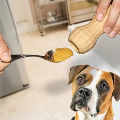 Poochie Butter Peanut Butter Calm Lickable Dog Treat with Toy Filler, 12-oz jar, Medium slide 2 of 2