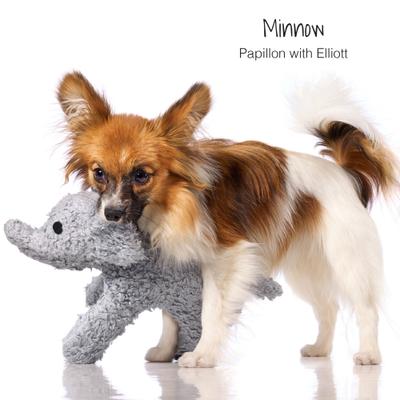 Show full view: Pet Passion Three'S Company The Best Friends, 3 pack slide 4 of 4