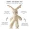 Show in main carousel: Pet Passion Buffy The Bunny Plush Dog Toy, Ivory slide 3 of 4