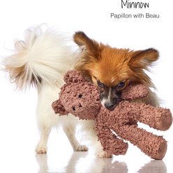 Pet Passion Beau The Teddy Bear Plush Dog Toy, Brown slide 2 of 4