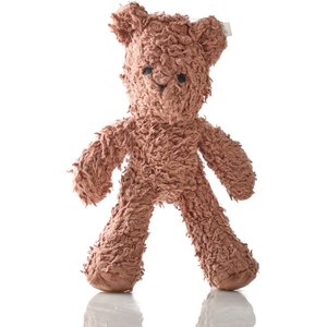 Pet Passion Beau The Teddy Bear Plush Dog Toy, Brown
