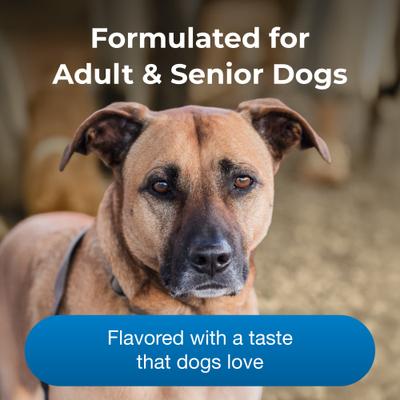 Show full view: PetAg Esbilac Healthy Aging Skin & Coat Supplement Dog Powder, 14-oz can slide 5 of 10