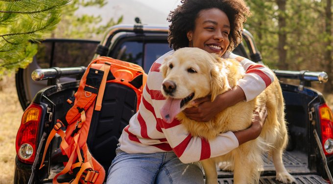 Revolution Topical Solution for Dogs, 5.1-10 lbs, (Purple Box)