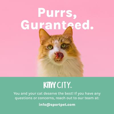 Show full view: Kitty City Premium Natural Catnip, 3 count slide 9 of 11