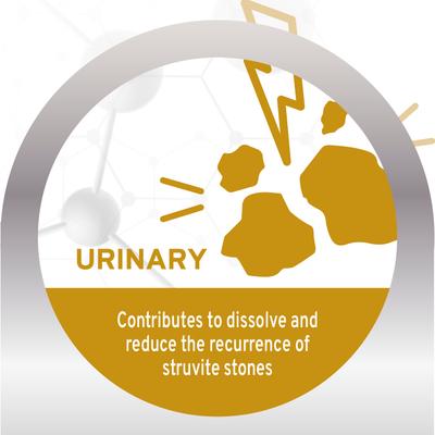 Show full view: Forza10 Active Urinary Dry Dog Food, 3.3-lb bag slide 5 of 12