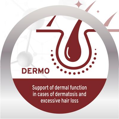 Show full view: Forza10 Active Dermo Dry Dog Food, 8.8-lb bag slide 5 of 13