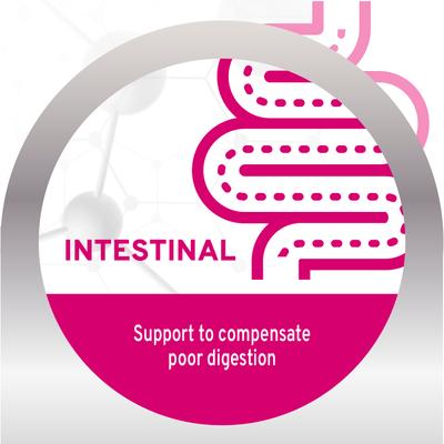 Show full view: Forza10 Active Intestinal Support Diet Dry Dog Food, 22-lb bag slide 5 of 13