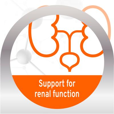 Show full view: Forza10 Actiwet Renal Support Wet Dog Food, 3.5-oz, case of 12 slide 4 of 13