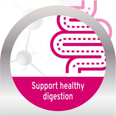 Show full view: Forza10 Actiwet Digestive Support with Salmon Wet Dog Food, 3.5-oz, case of 32 slide 4 of 13