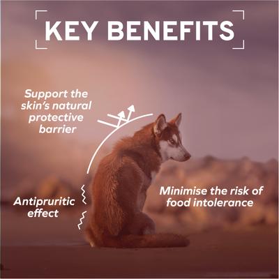 Show full view: Forza10 ActiWet Dermo with Mediterranean White Fish Wet Dog Food, 3.5-oz, case of 32 slide 5 of 12