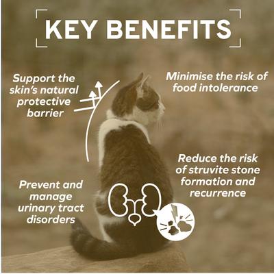 Show full view: Forza10 Actiwet Urinary Support with Mediterranean White Fish Wet Cat Food, 3.5-oz, case of 32 slide 5 of 13