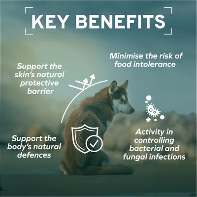 Show full view: Forza10 Active Echo Dry Dog Food, 22-lb bag slide 6 of 12