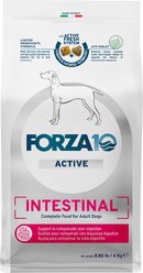 Forza10 Active Intestinal Support Diet Dry Dog Food, 8.8-lb bag
