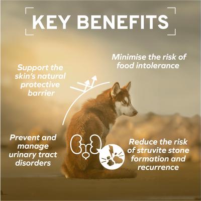 Show full view: Forza10 Active Urinary Dry Dog Food, 3.3-lb bag slide 6 of 12