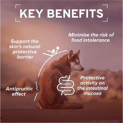 Show full view: Forza10 Active Dermo Dry Dog Food, 8.8-lb bag slide 6 of 13