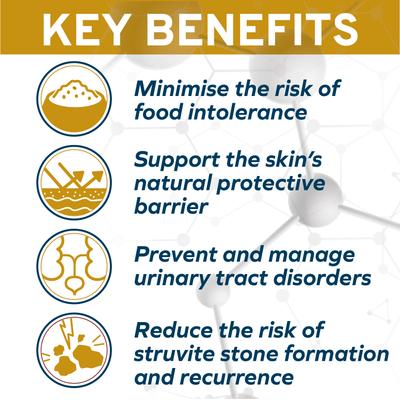 Show full view: Forza10 Active Urinary Dry Cat Food, 0.88-lb bag slide 6 of 14