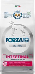 Forza10 Active Intestinal Support Diet Dry Dog Food, 22-lb bag