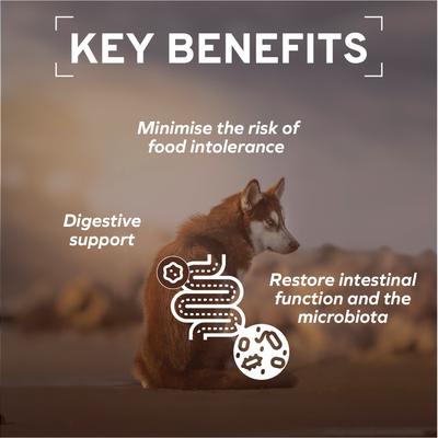 Show full view: Forza10 Active Colon Phase Dry Dog Food, 22-lb bag slide 6 of 12