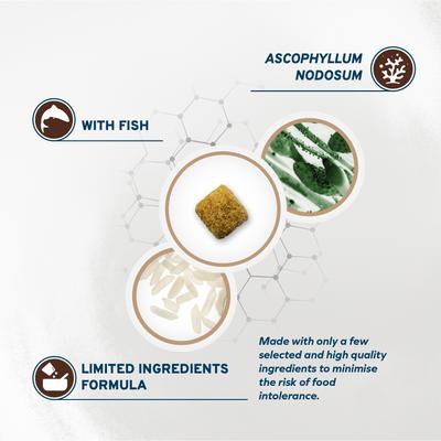 Show full view: Forza10 Active Colon Phase Dry Dog Food, 22-lb bag slide 7 of 12