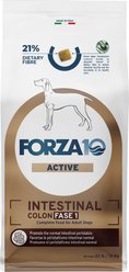 Forza10 Active Colon Phase Dry Dog Food, 22-lb bag