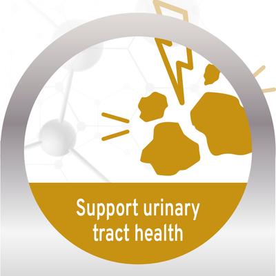 Show full view: Forza10 Actiwet Urinary Support with Mediterranean White Fish Wet Cat Food, 3.5-oz, case of 32 slide 4 of 13