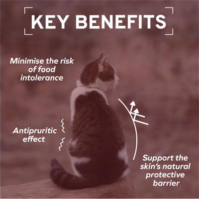 Show full view: Forza10 ActiWet Dermo Support with Mediterranean White Fish Canned Cat Food, 3.5-oz, case of 32 slide 5 of 12