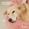 Show in main carousel: Kylinsure 55-in Round Plush Orthopedic Donut Dog & Cat Bed, Pink slide 7 of 8